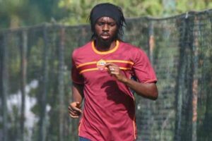 gervinho
