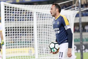 pazzini verona