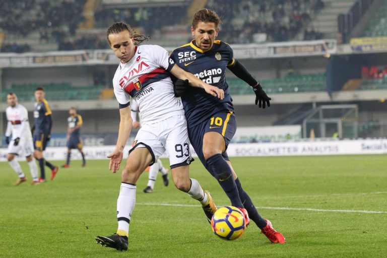 Cerci ferita