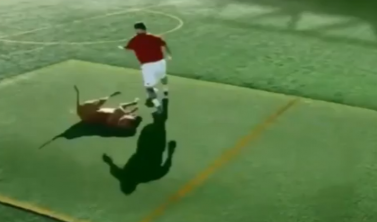 Messi dribbla cane