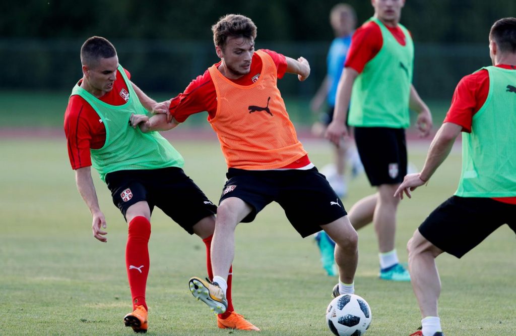 Serbia Ljajic
