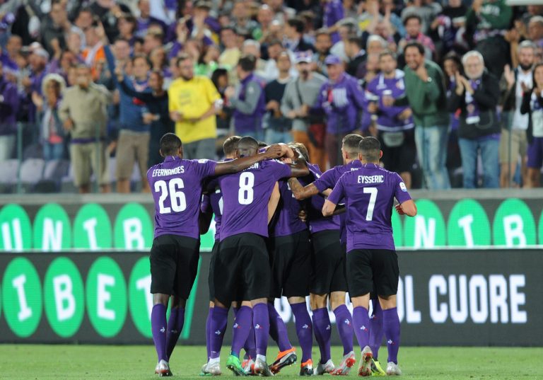 Fiorentina stadio