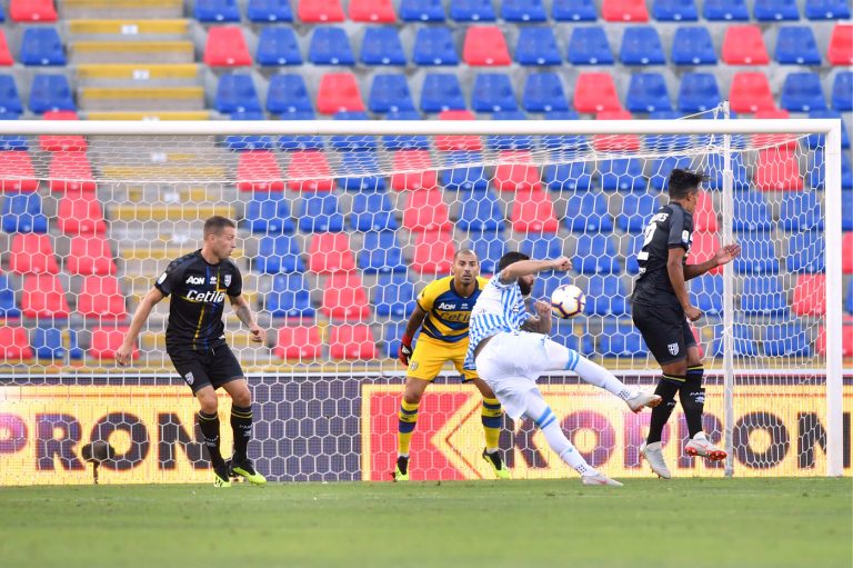 Spal