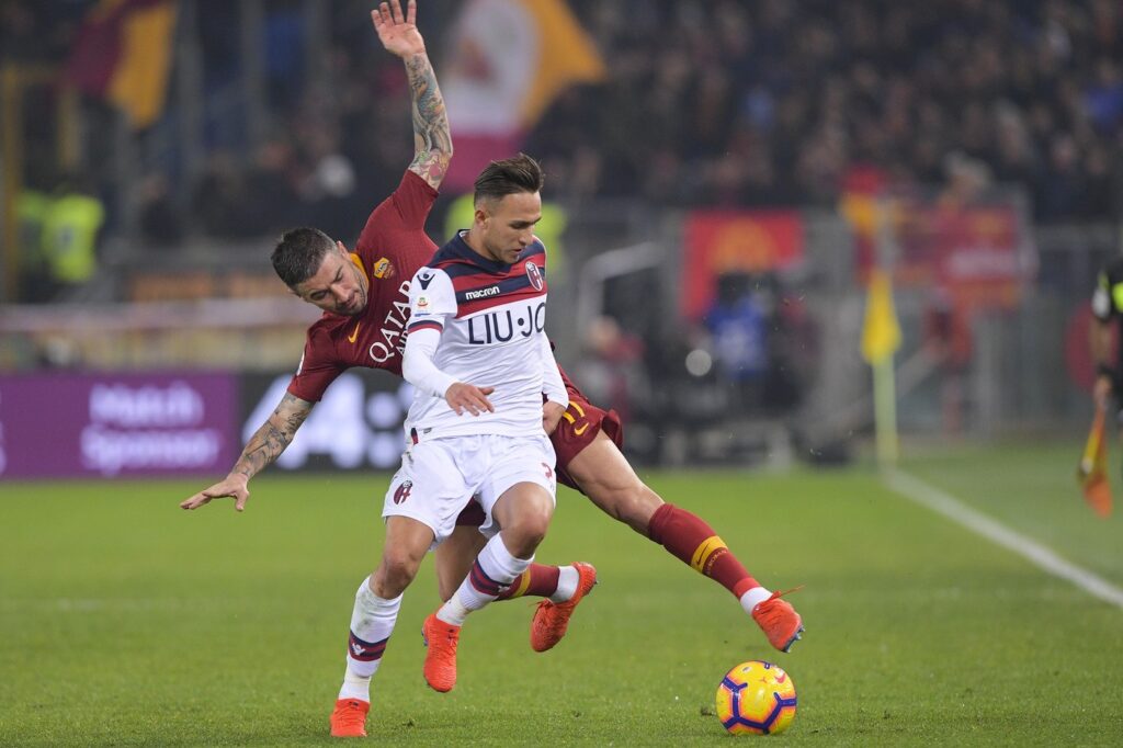Bologna Edera