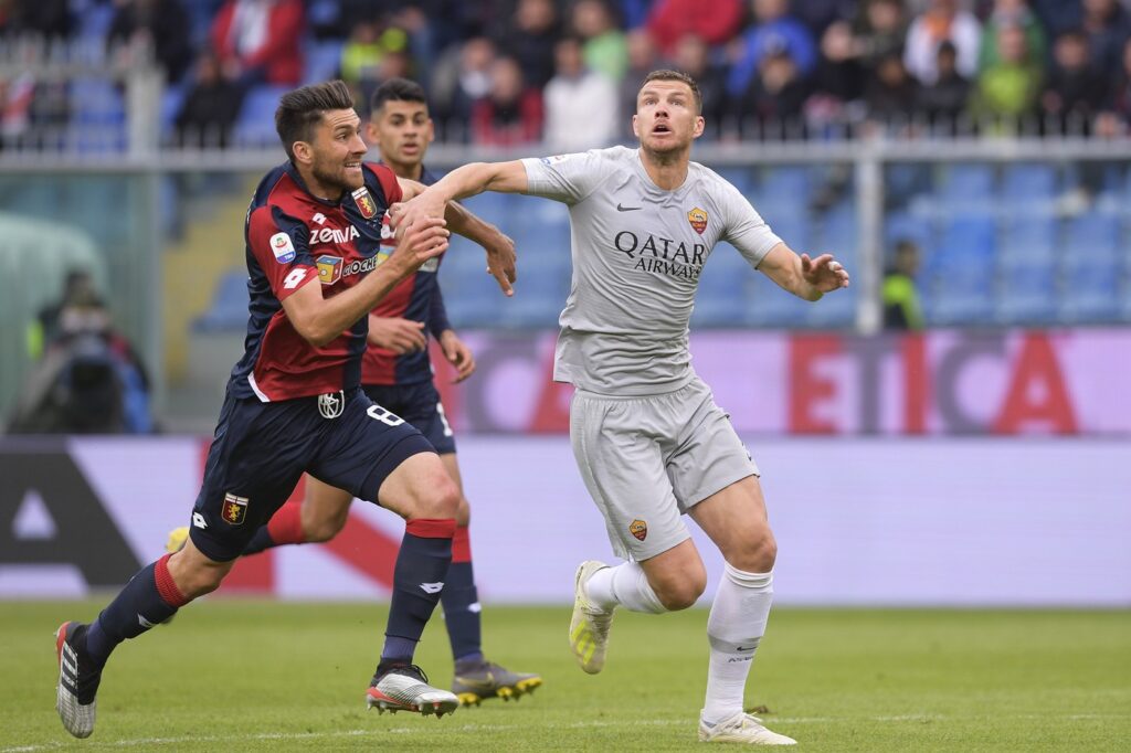 Roma Dzeko