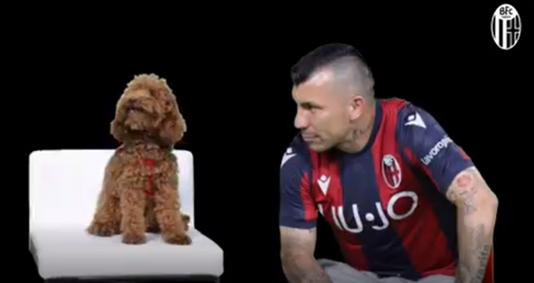 presentazione Medel