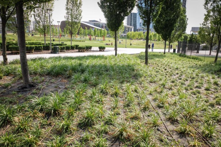 alberi Euro 2020