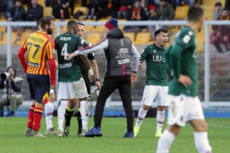 lite Mihajlovic-Medel