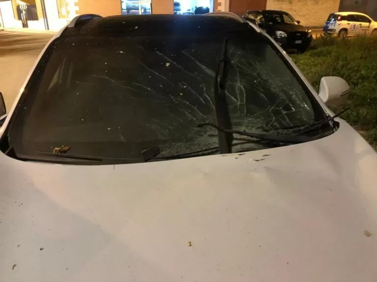 auto fidelis andria