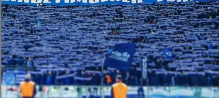 tifosi Schalke