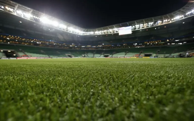 PALMEIRAS