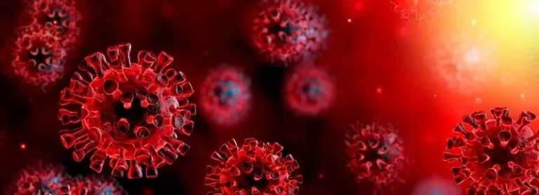 Coronavirus