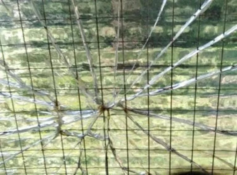 atti vandalici centro sportivo