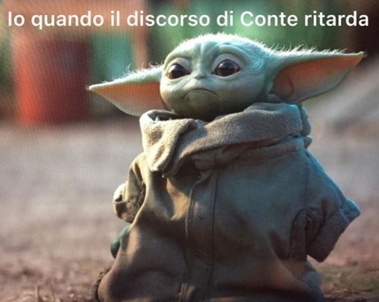 conte