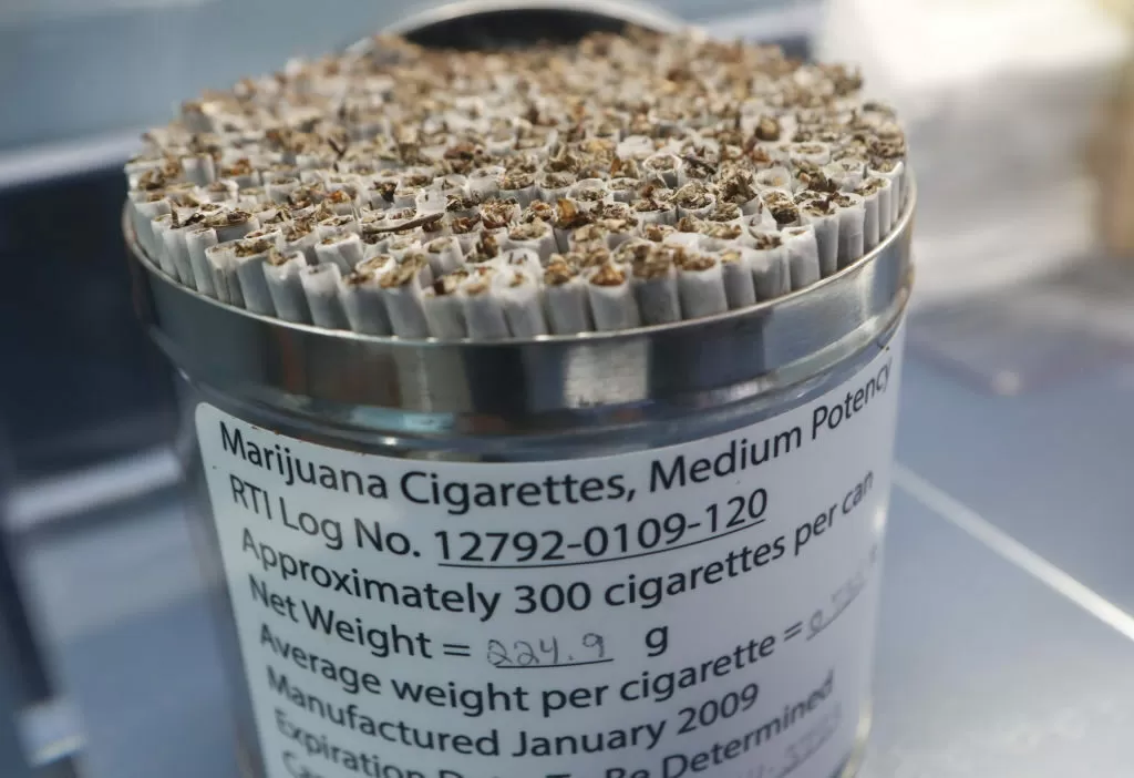 marijuana