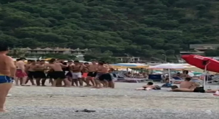 rissa spiaggia