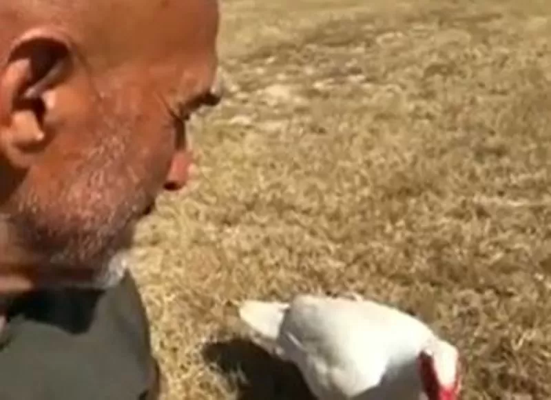 Spalletti