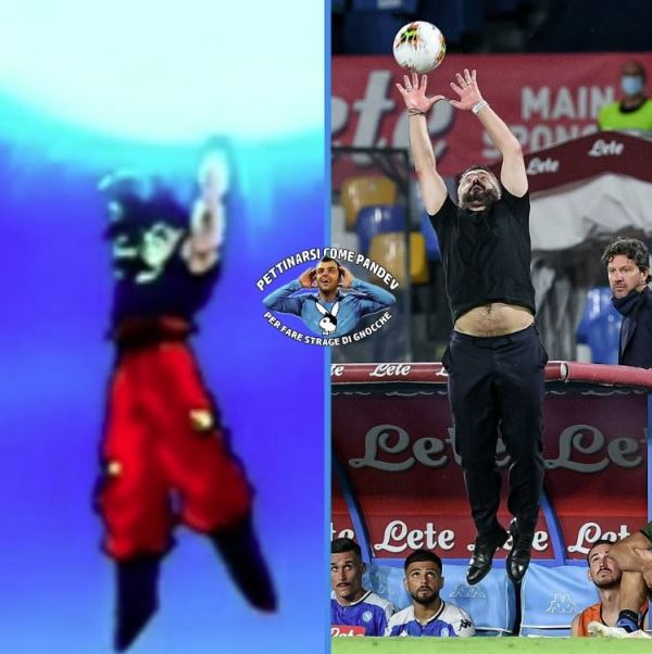 meme parata gattuso