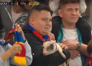 maiale in tribuna cska spartak