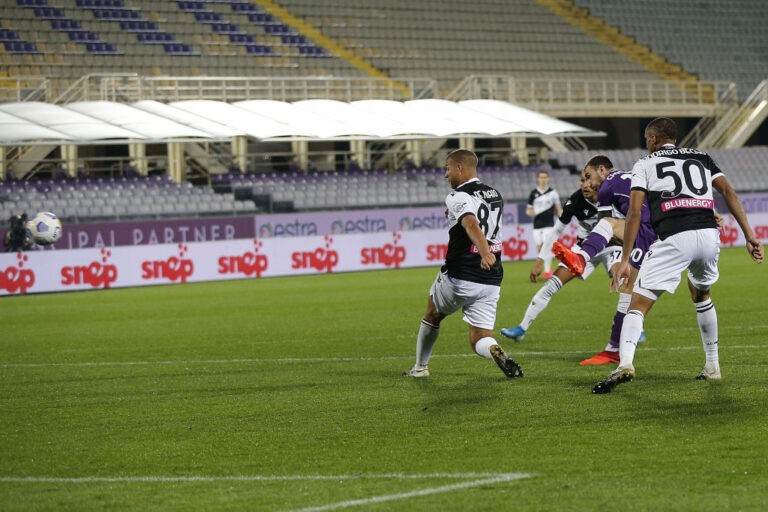 Fiorentina Udinese