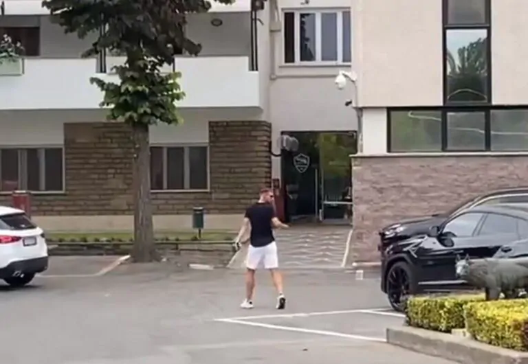 Dzeko