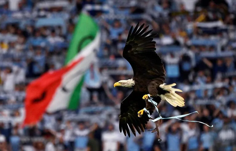 aquila Olimpia