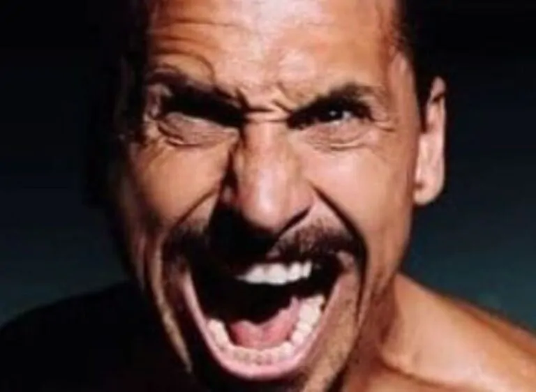 Ibrahimovic