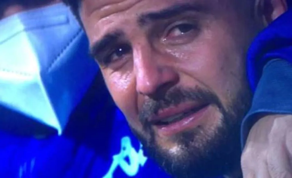 Insigne