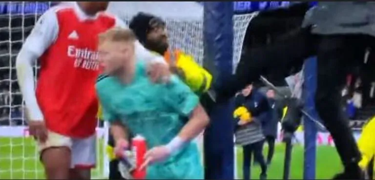 calcio ramsdale