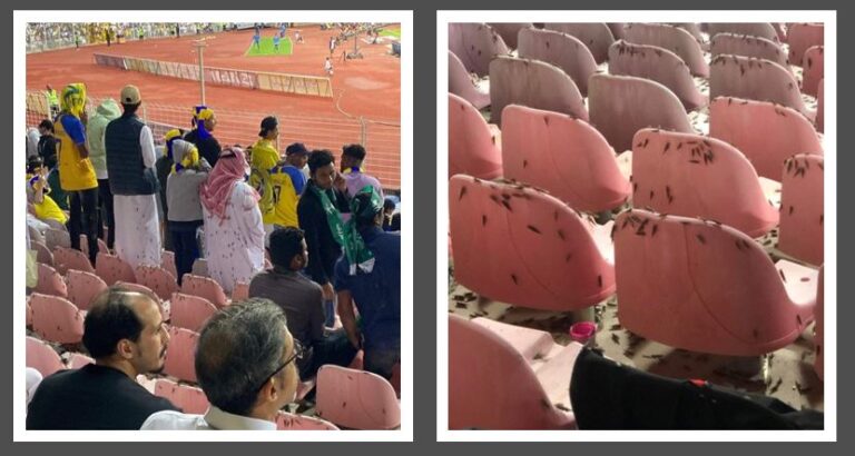 locuste stadio al nassr cristiano ronaldo