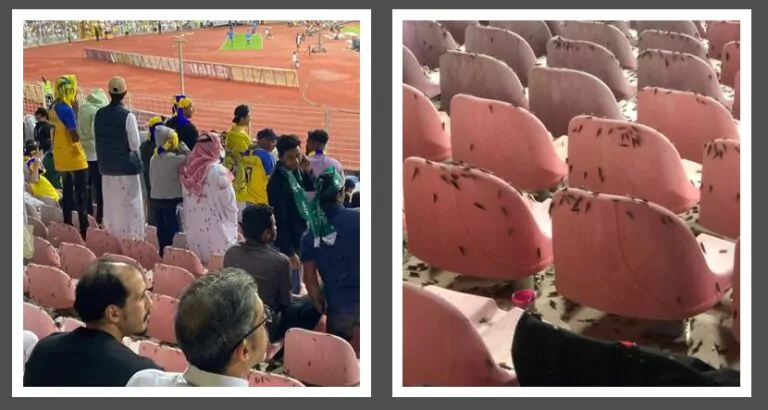 locuste stadio al nassr cristiano ronaldo