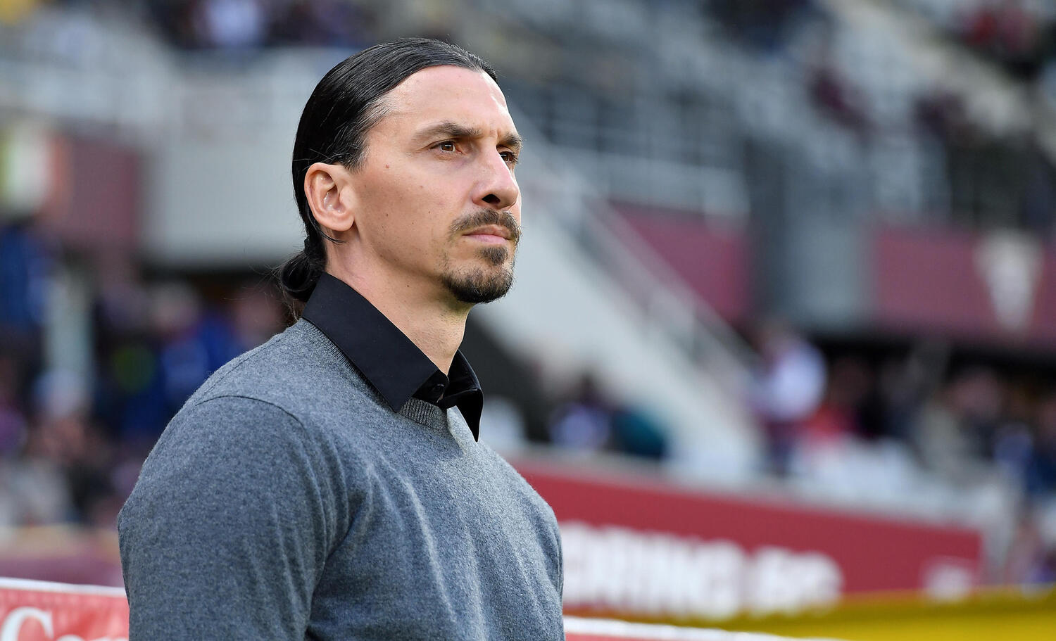 ibrahimovic